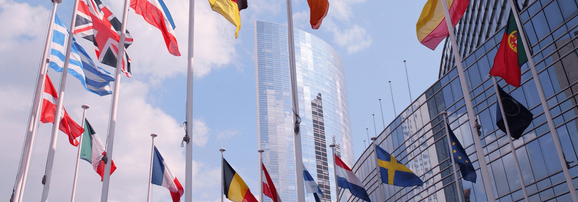 https://erasmus.uazuay.edu.ec/sites/erasmus.uazuay.edu.ec/files/public/2020-06/demo-erasmus.png